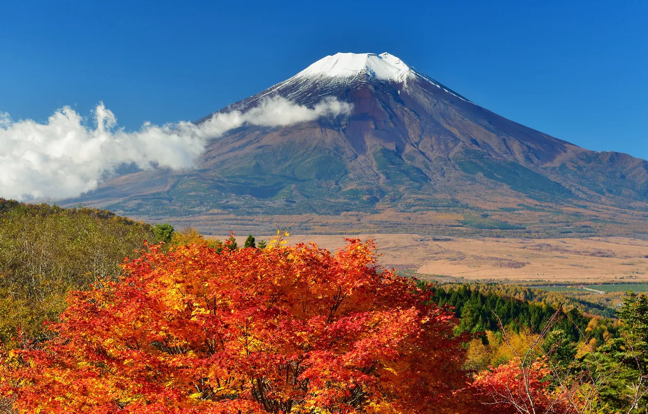 Photo wallpaper autumn, the sky, leaves, trees, Japan, mount Fuji