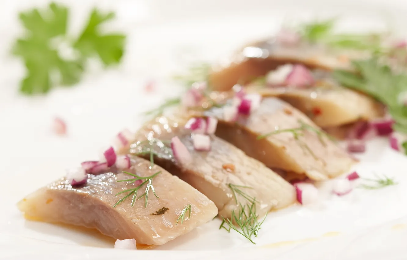 Photo wallpaper bow, dill, parsley, appetizer, herring, herring