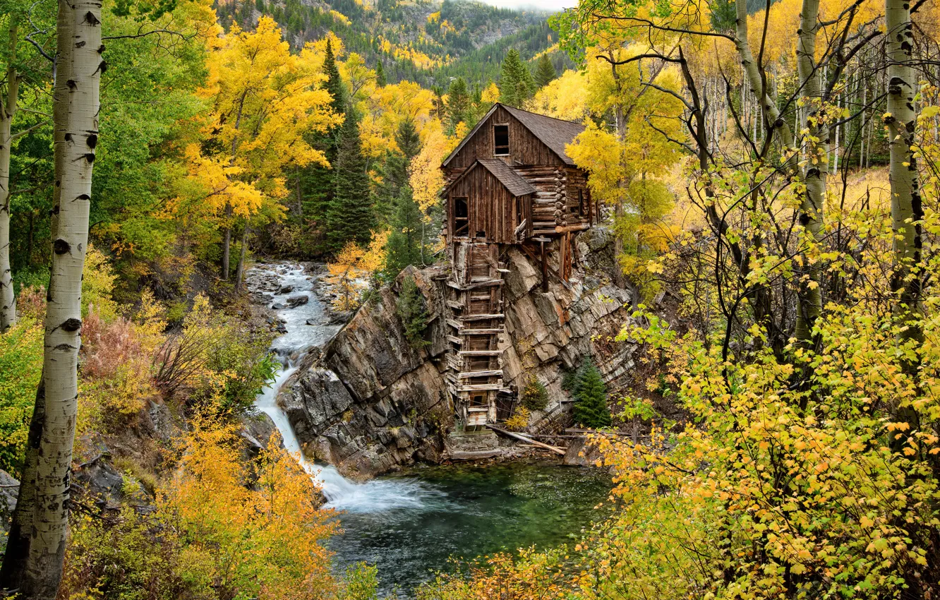 Photo wallpaper autumn, forest, trees, river, waterfall, Colorado, water mill, Colorado