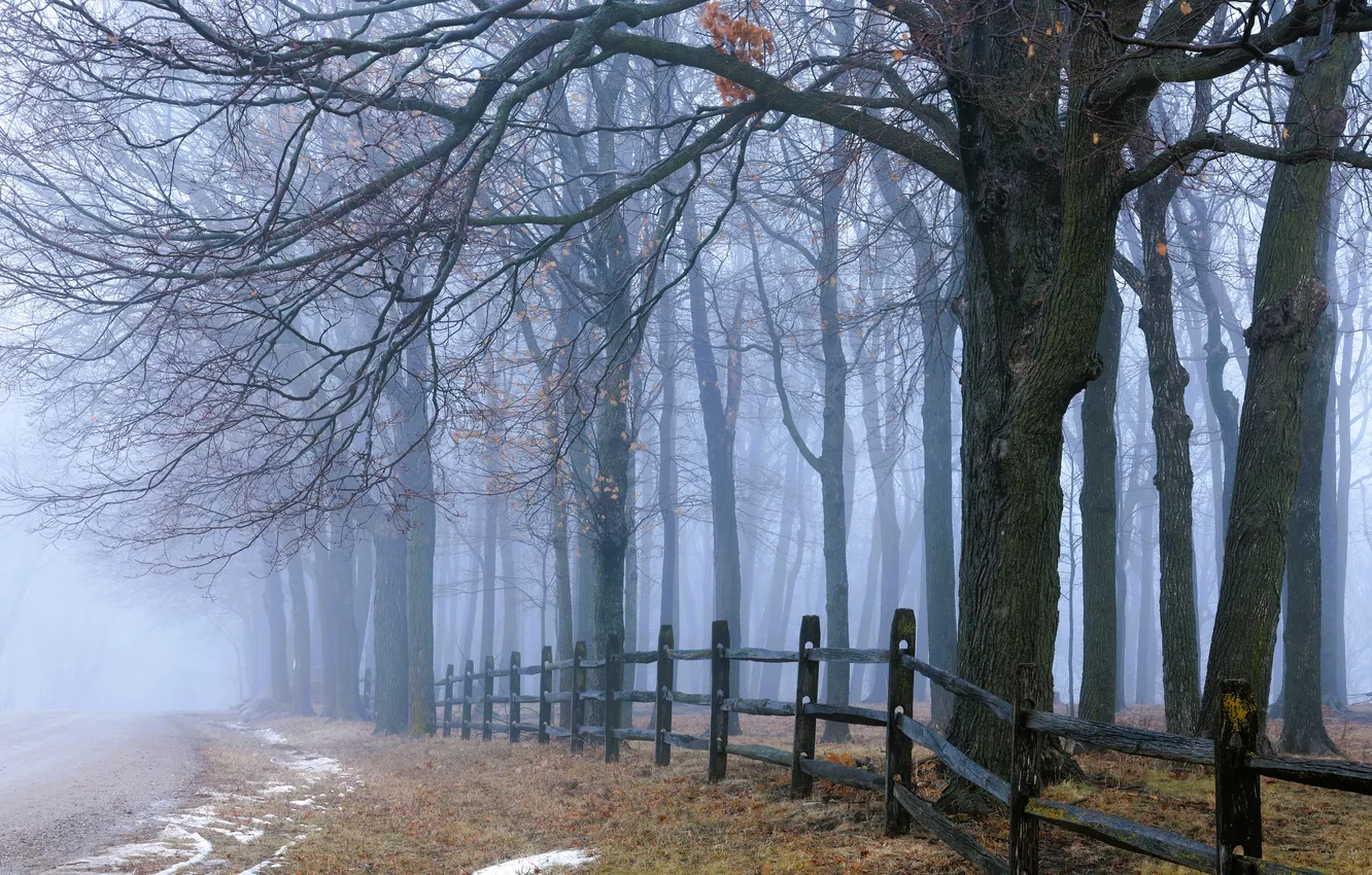 Photo wallpaper winter, road, the fence