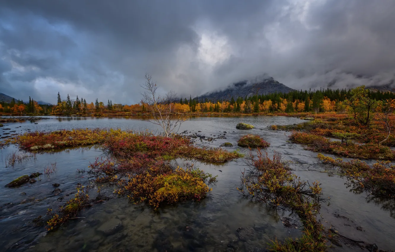 Photo wallpaper autumn, mountains, overcast, shore, pond