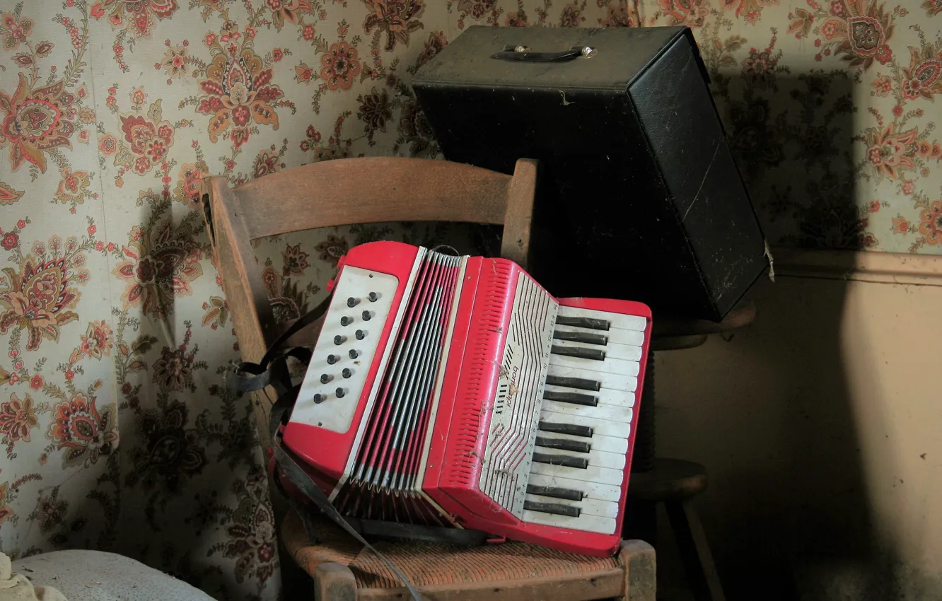 Photo wallpaper music, tool, accordion