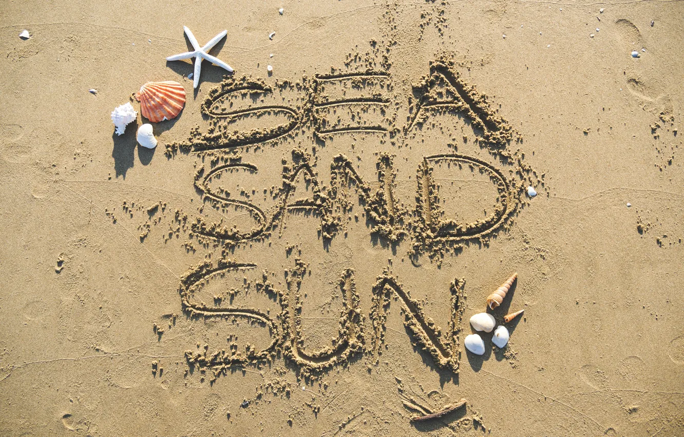 Photo wallpaper sand, beach, summer, shell, summer, beach, sea, sand