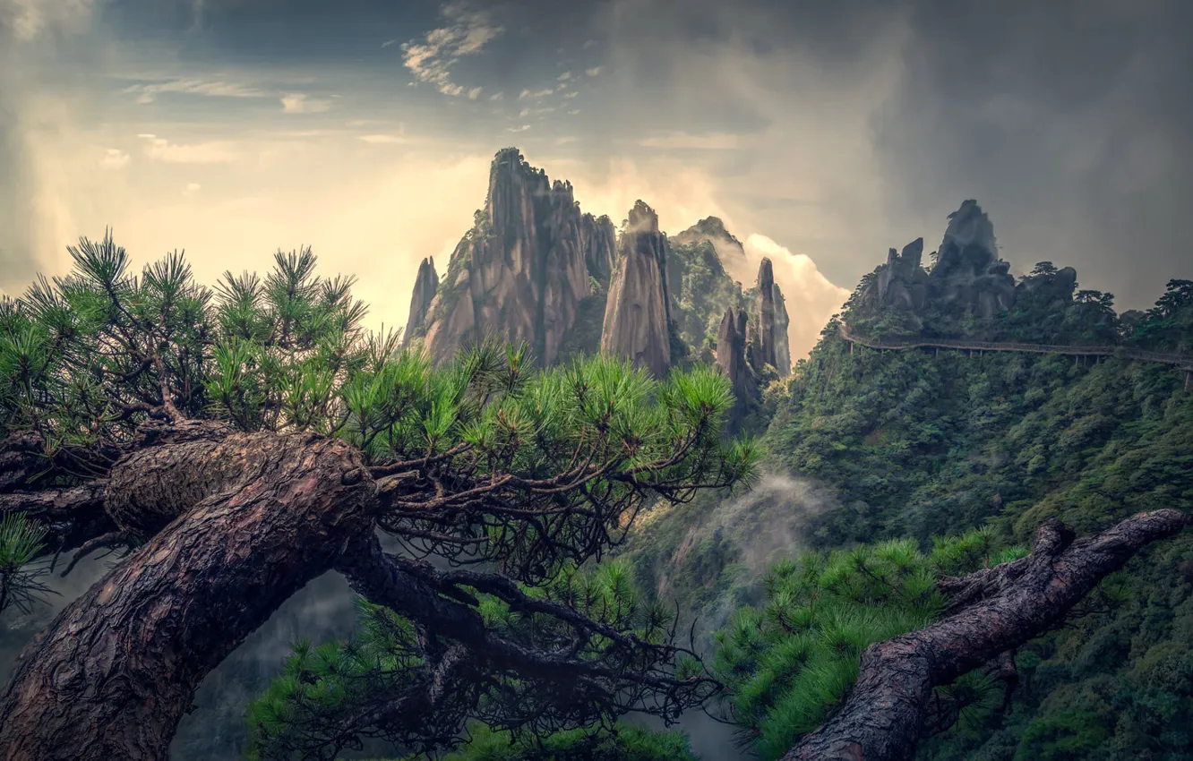 Photo wallpaper the sky, clouds, mountains, branches, fog, rocks, Asia, tops