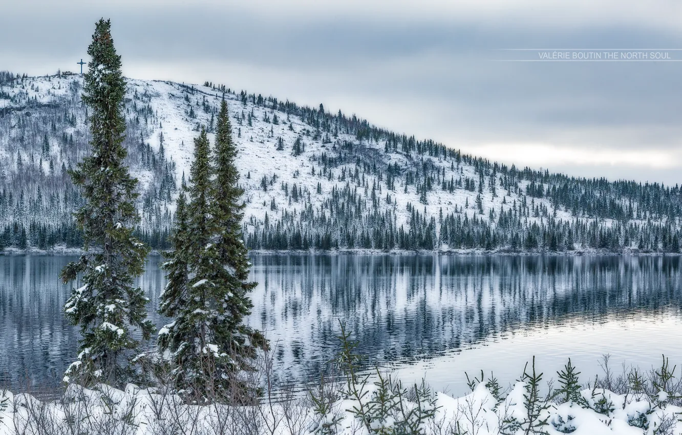 Photo wallpaper winter, snow, trees, mountains, lake