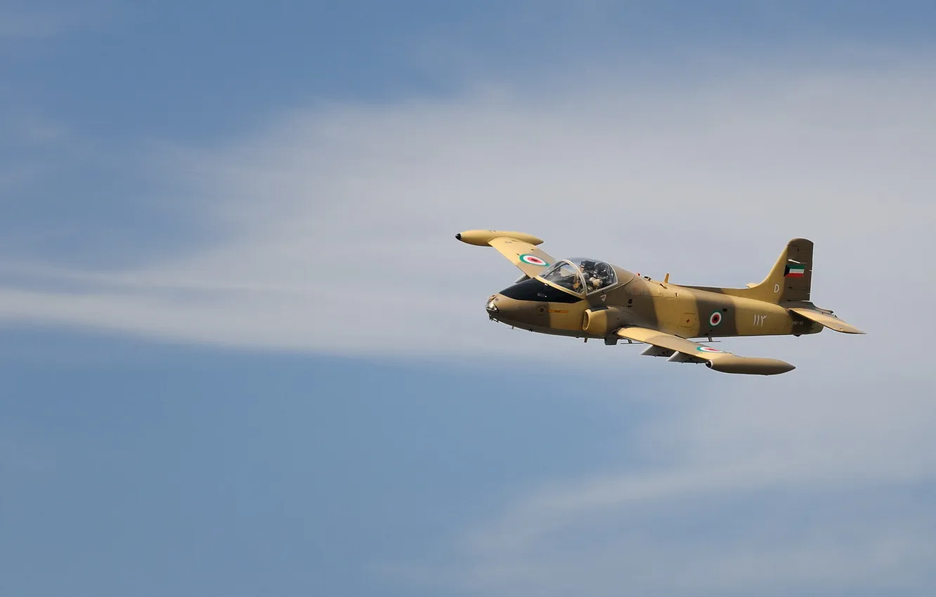 Photo wallpaper the sky, aviation, the plane