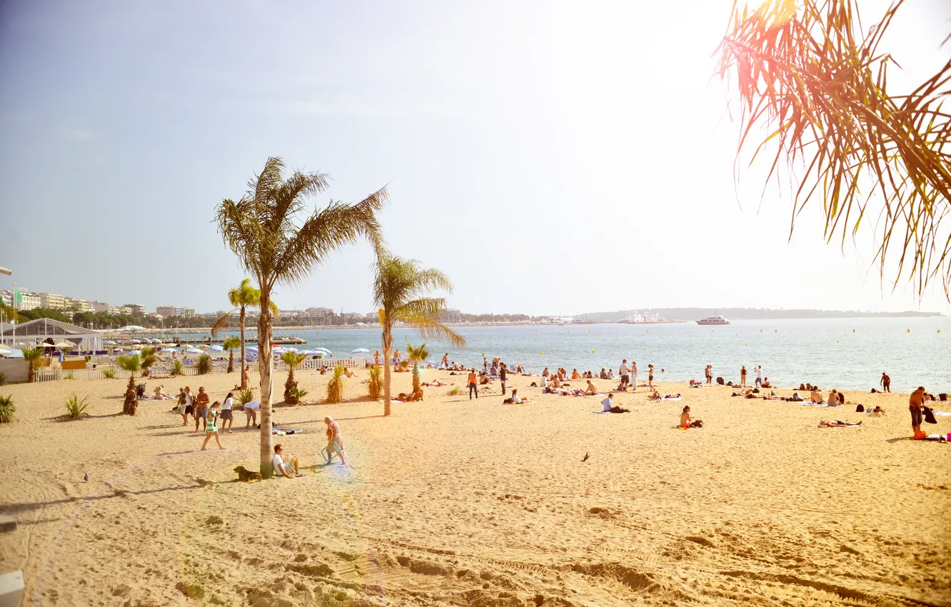 Photo wallpaper sand, beach, the sun, palm trees, people, Europe, Beach, Sunny