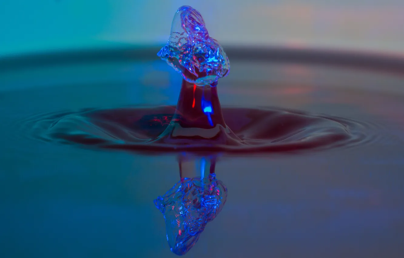 Photo wallpaper water, drops, blur, elongated shape