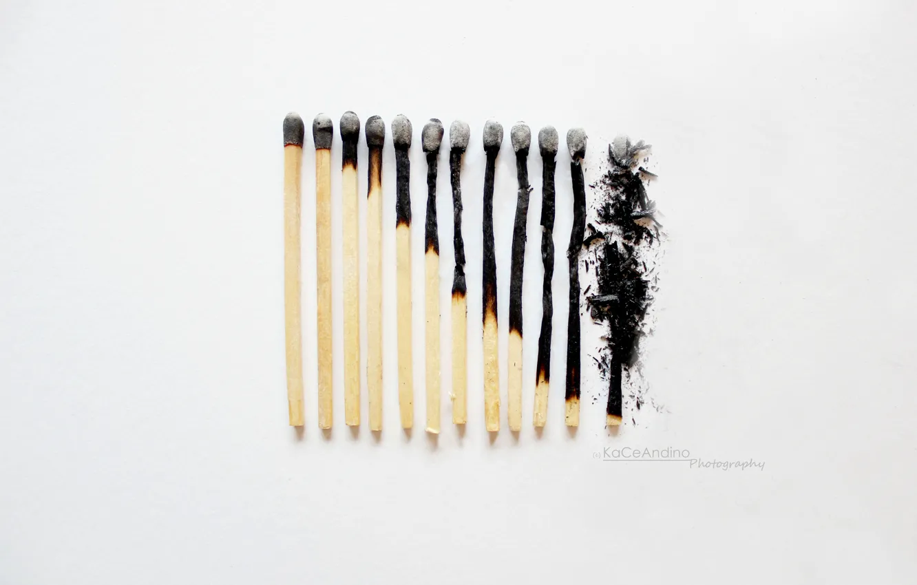 Photo wallpaper macro, matches, burnt, JONASADDICT2, Broken Down..