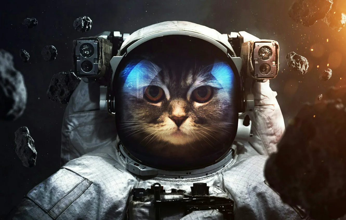 Photo wallpaper cat, space, astronaut, asteroid, costume