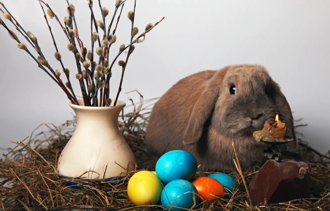Photo wallpaper egg, candle, rabbit, Easter, vase, Verba, easter