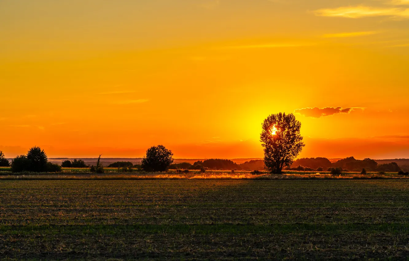 Photo wallpaper summer, landscape, sunset, three