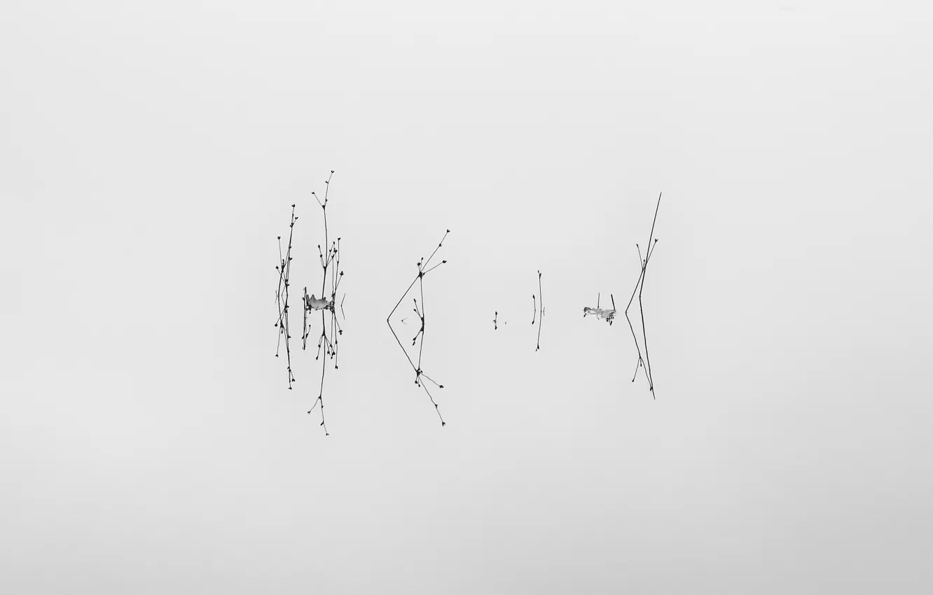 Photo wallpaper water, lake, minimalism