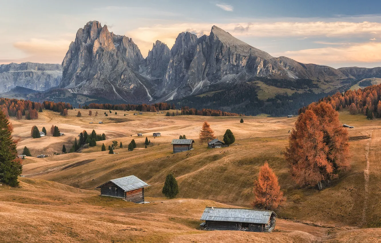 Photo wallpaper field, mountains, Alps, house