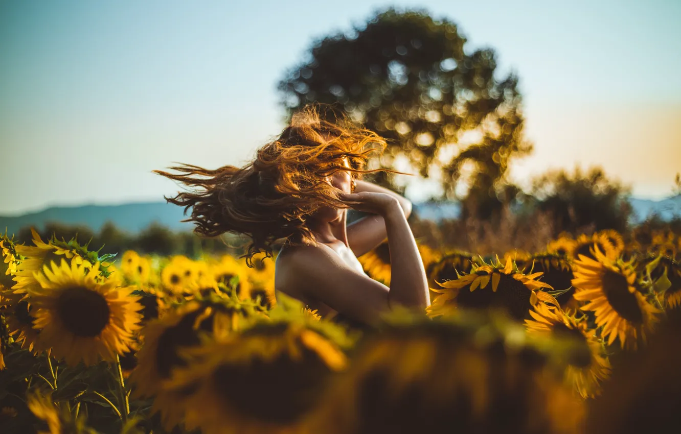 Photo wallpaper field, summer, the sky, girl, clouds, light, trees, sunflowers
