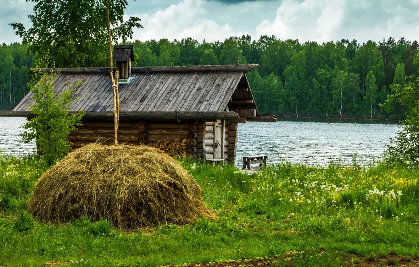 Photo wallpaper greens, forest, summer, grass, trees, lake, house, shore