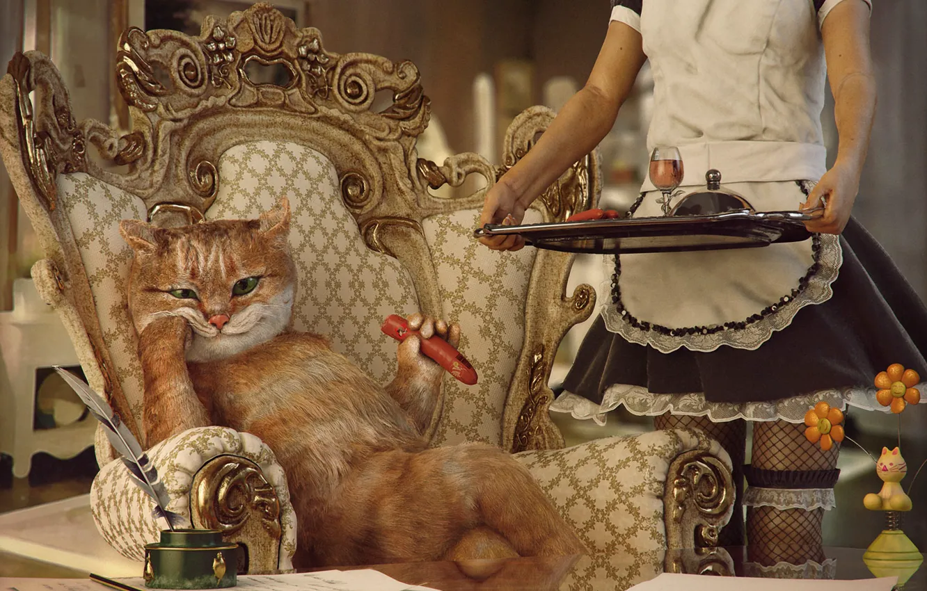 Photo wallpaper cat, girl, sausage, the situation, chair, lunch, servants