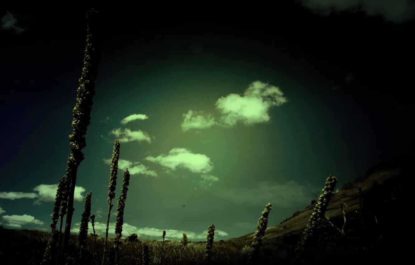 Photo wallpaper the sky, dark, wallpaper, harmony