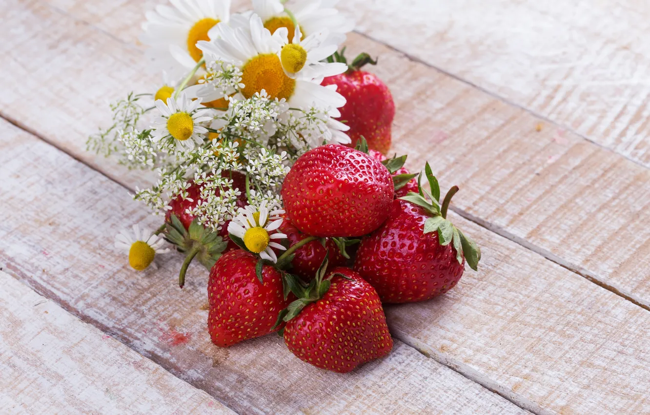 Photo wallpaper flowers, berries, strawberry, strawberry, fresh berries