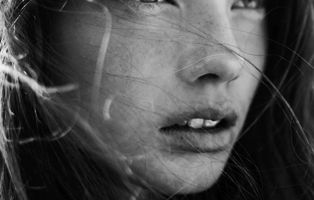 Photo wallpaper freckles, sponge, teeth, b & W photo