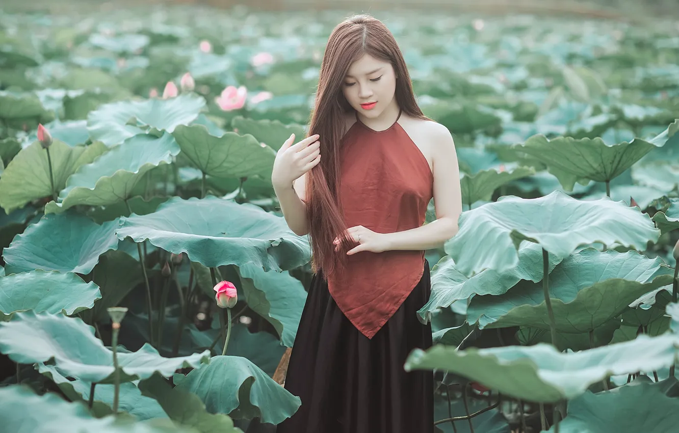 Photo wallpaper girl, flowers, nature, Lotus, Asian, is