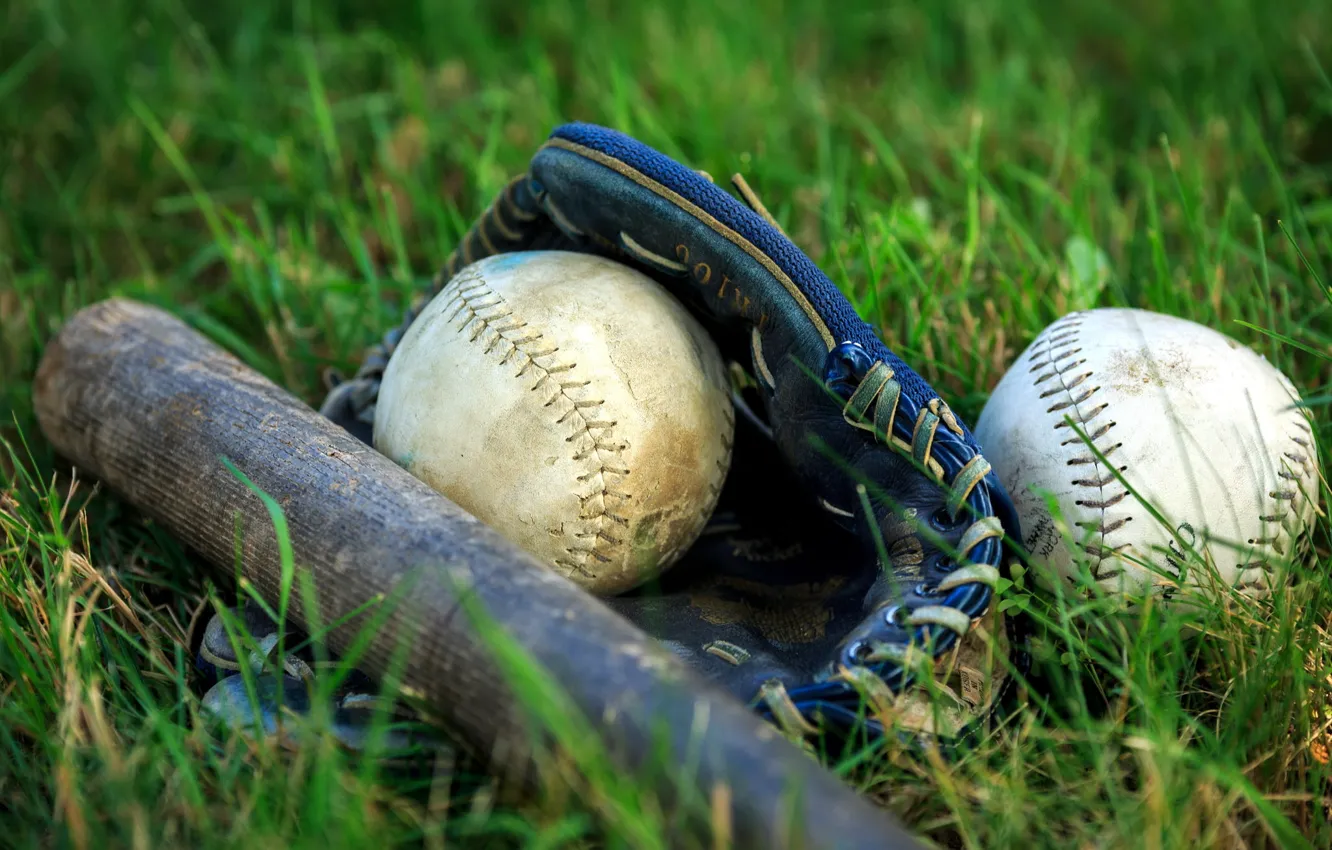 Photo wallpaper sport, the ball, bit