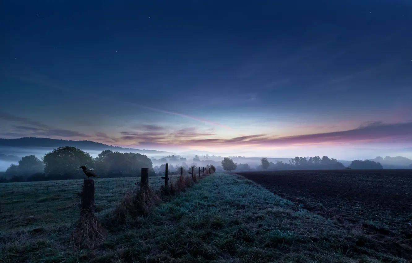 Photo wallpaper field, fog, bird, the fence, arable land, Nocht