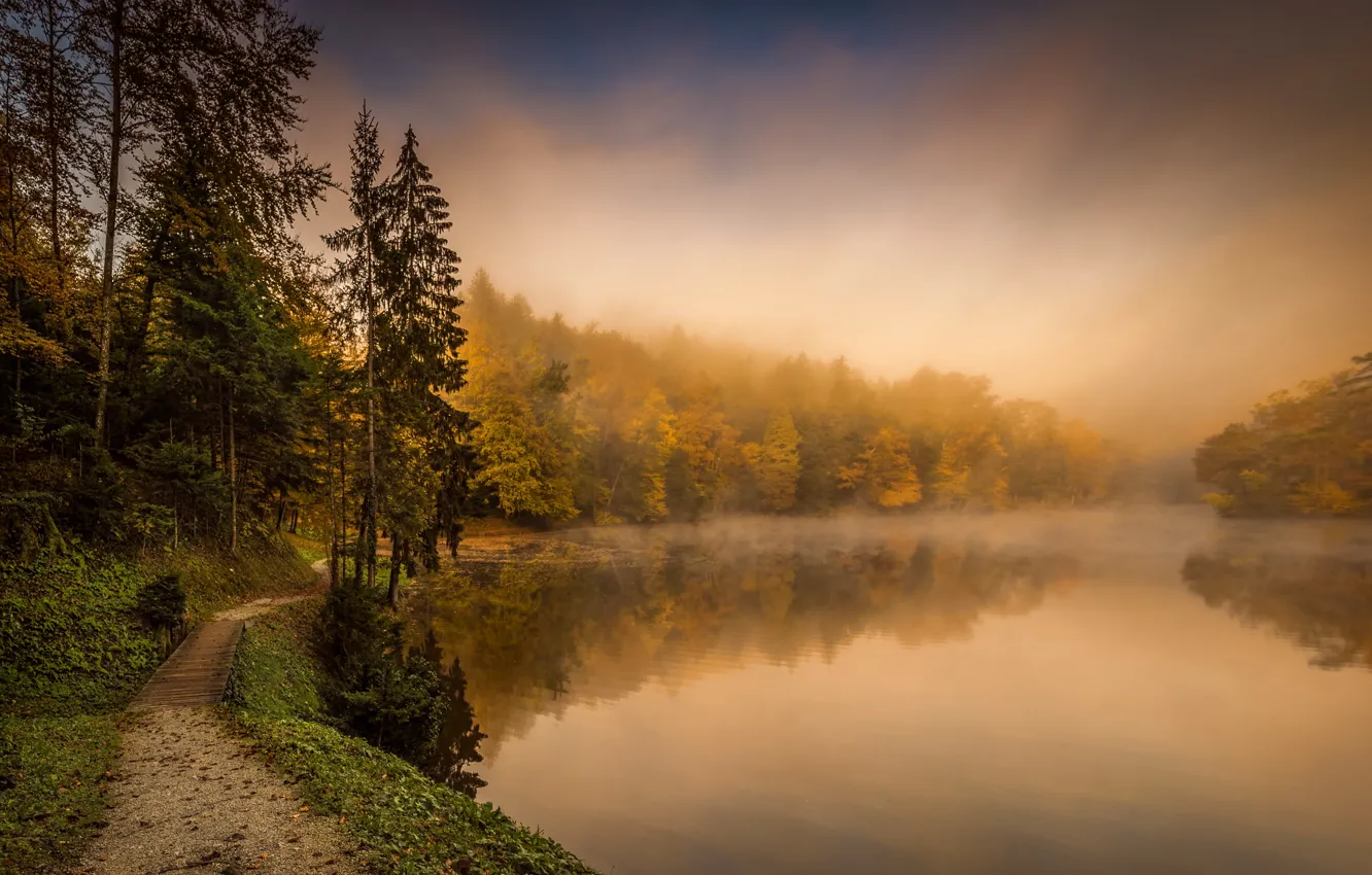 Photo wallpaper autumn, fog, river