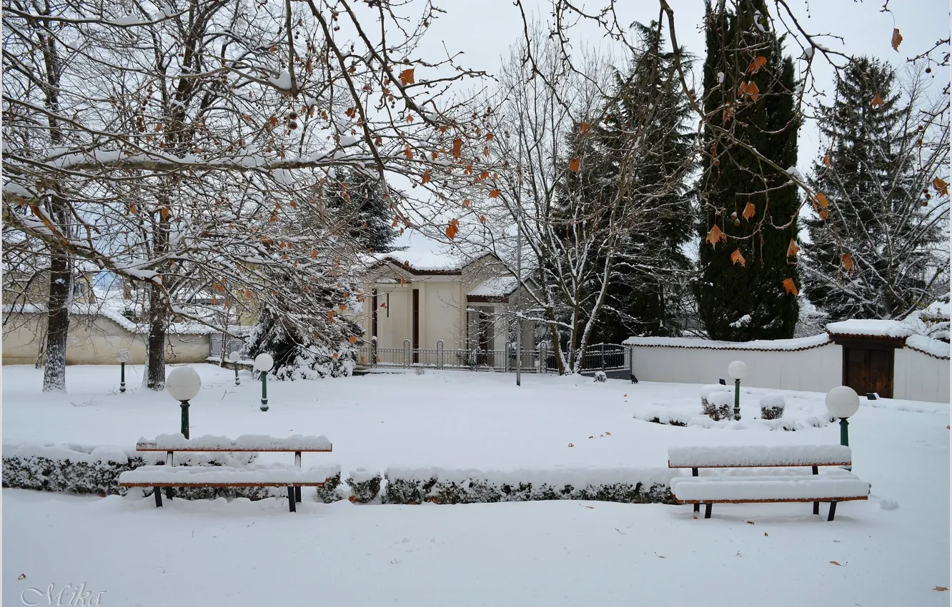 Photo wallpaper Winter, Snow, Park, Frost, Winter, Frost, Park, Snow