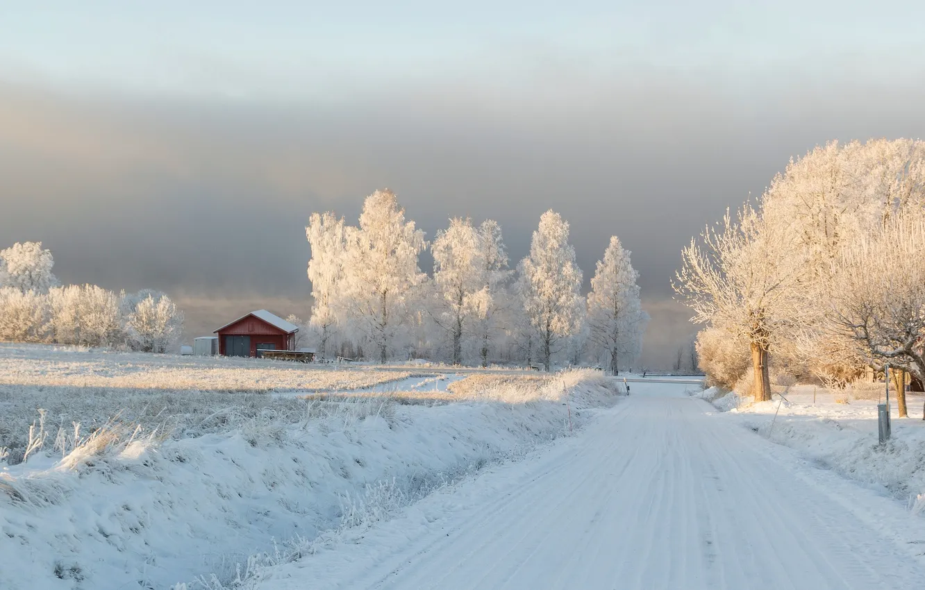 Photo wallpaper winter, frost, road, snow, trees, home