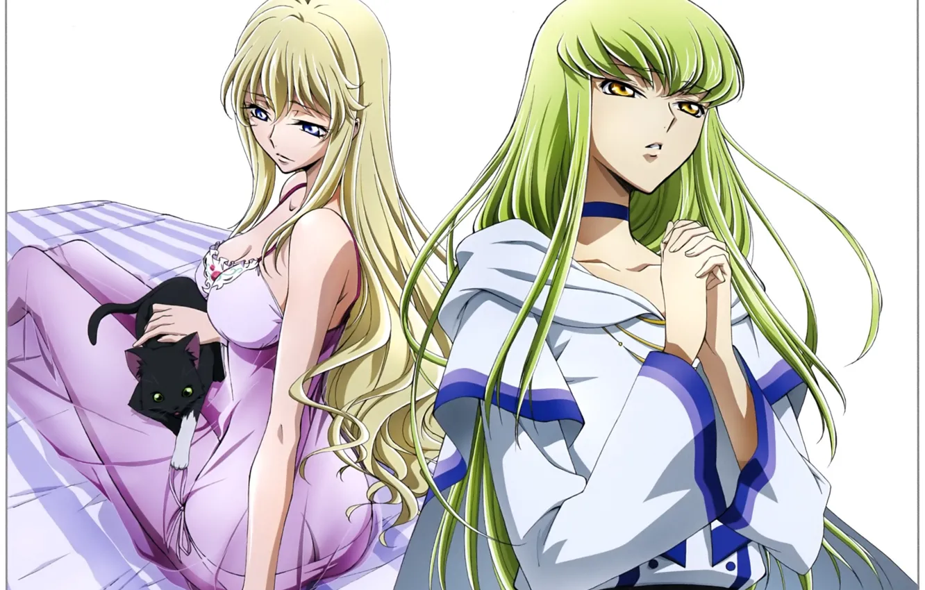 Photo wallpaper girl, two, white background, long hair, C.C., black kitten, Renegade Akito, Akito the Exiled