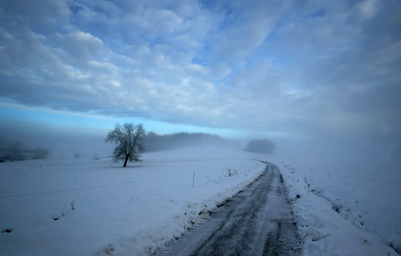 Photo wallpaper winter, road, snow, trees