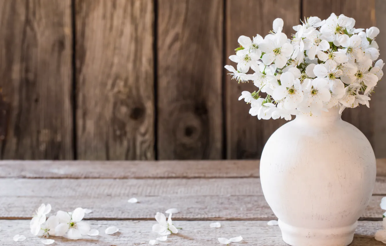 Photo wallpaper flowers, spring, petals