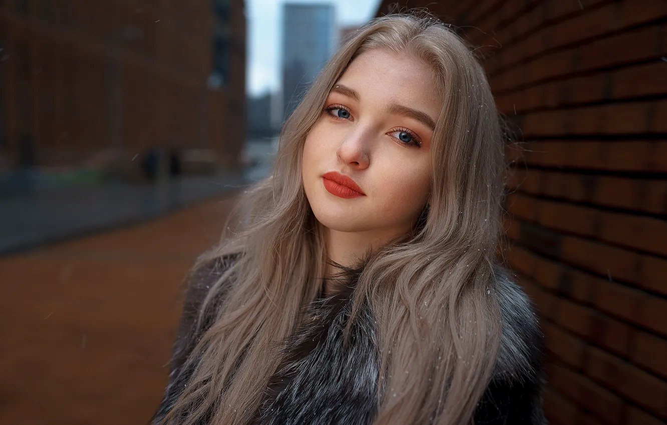 Photo wallpaper snow, tenderness, fur, sponge, the beauty, curls, Alex Four