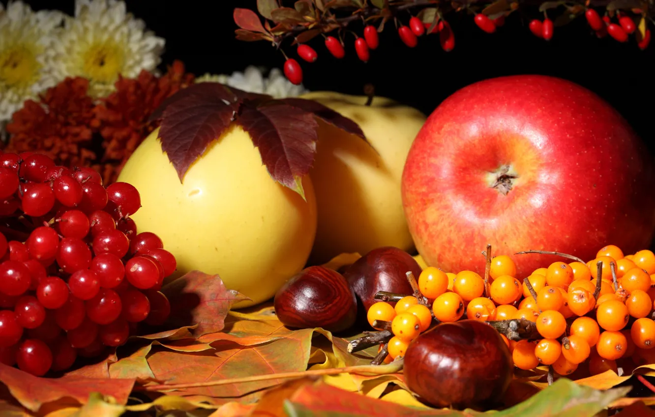 Photo wallpaper berries, foliage, apples, fruit, still life, still life, fruits, berries