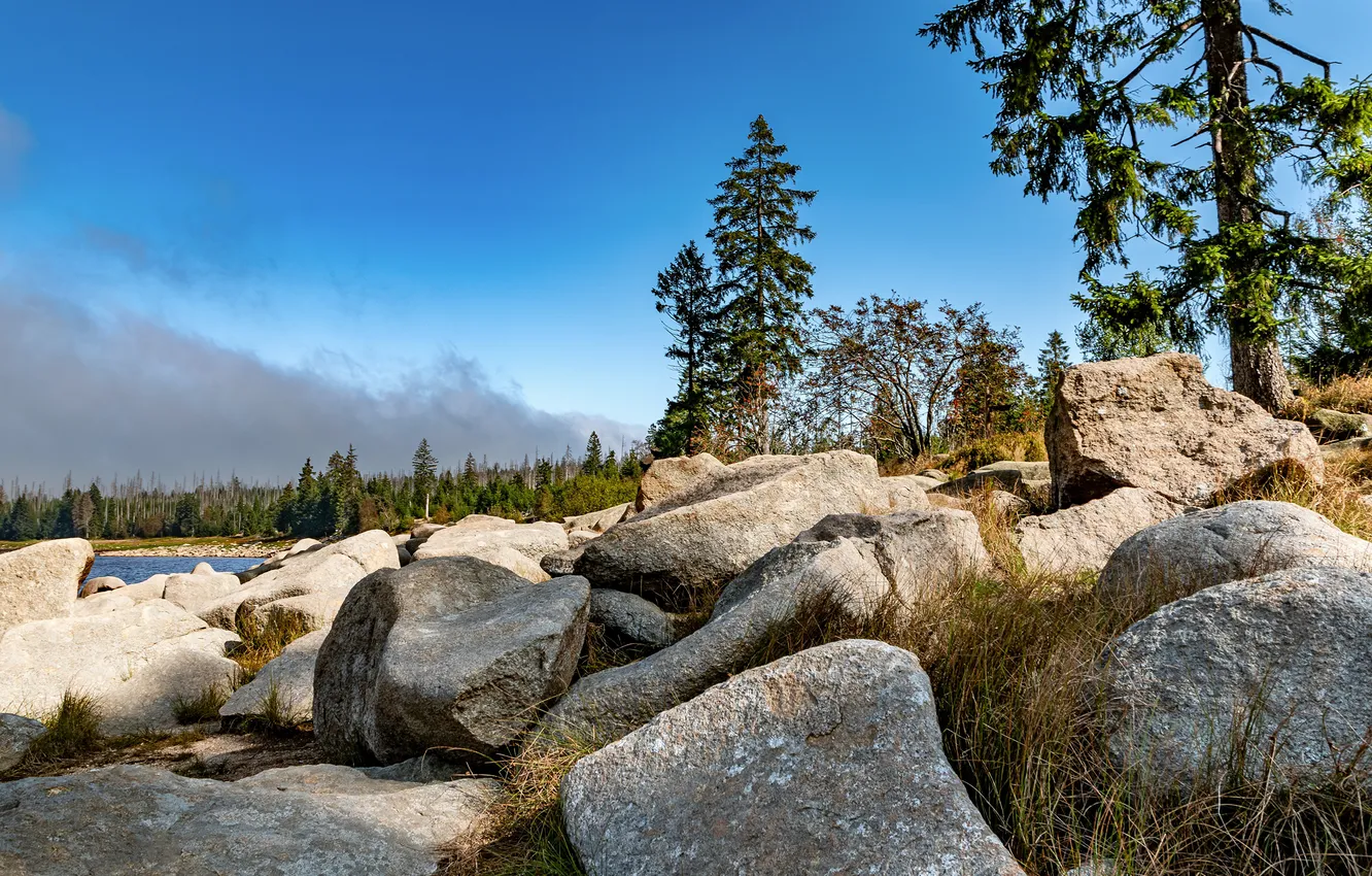 Photo wallpaper Nature, Germany, Stones, Oderteich