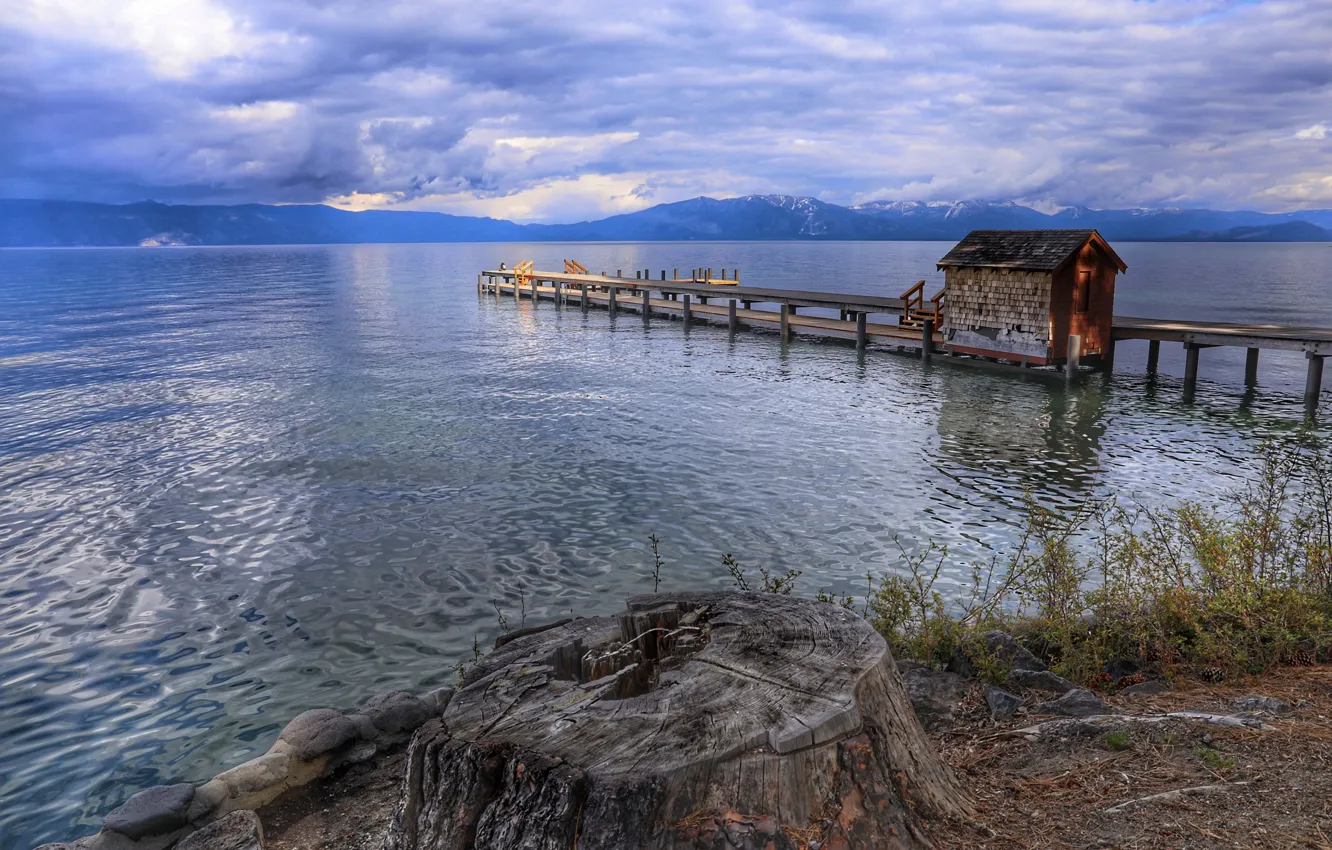 Photo wallpaper sea, shore, stump