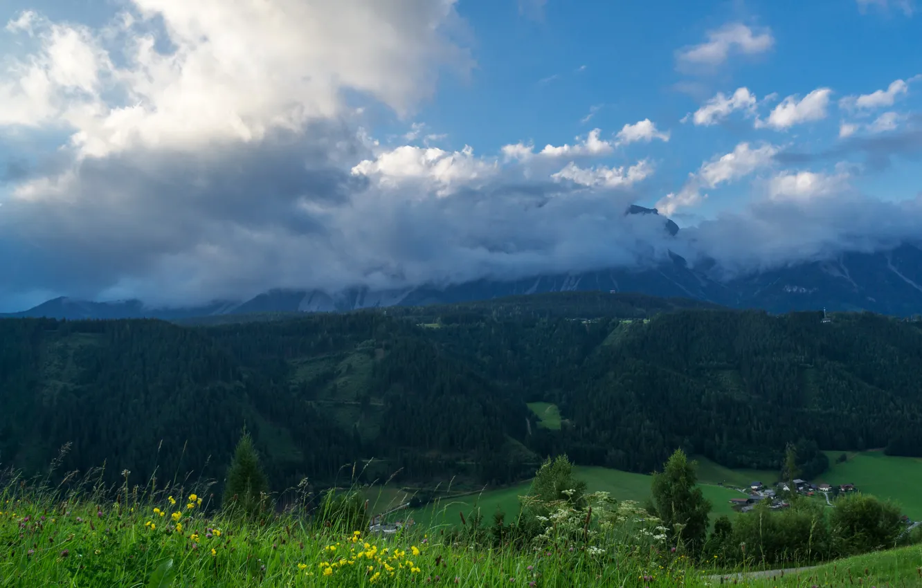 Photo wallpaper forest, the sky, grass, clouds, trees, flowers, mountains, Switzerland