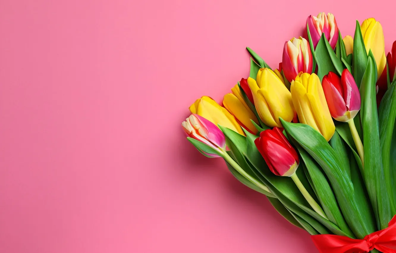 Photo wallpaper flowers, bouquet, colorful, tulips, flowers, tulips, spring, bouquet