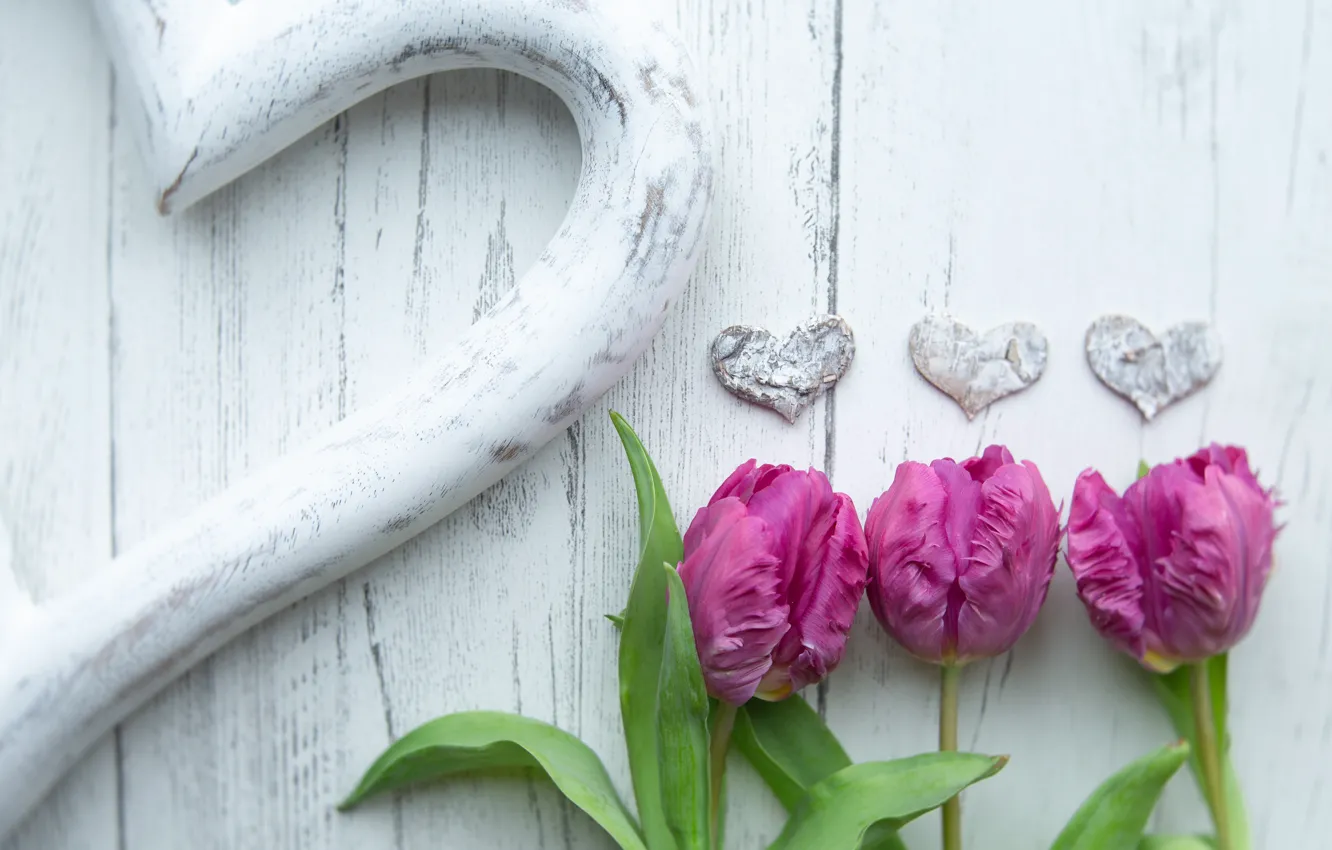 Photo wallpaper flowers, holiday, heart, Board, hearts, tulips, white background, pink