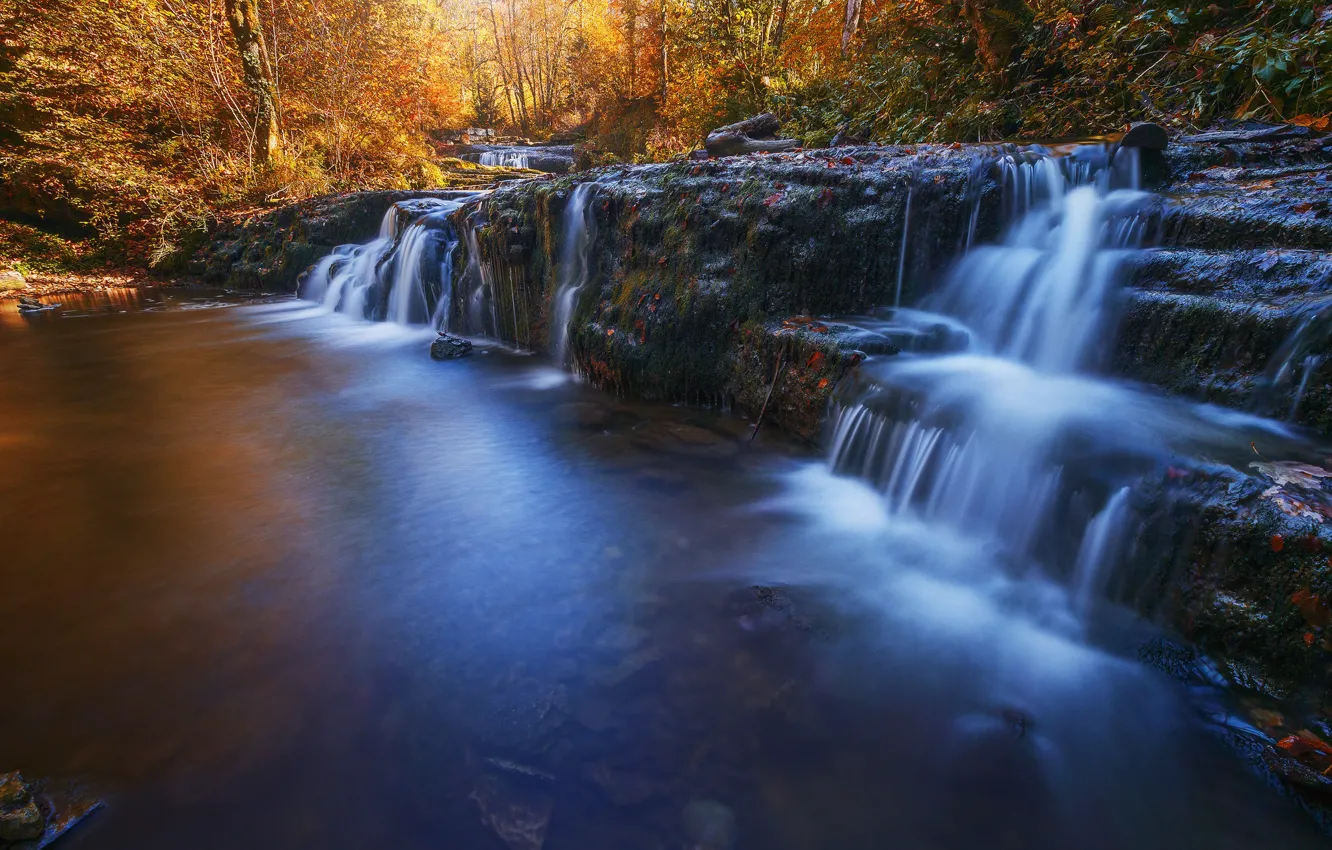Photo wallpaper autumn, forest, waterfall, stream
