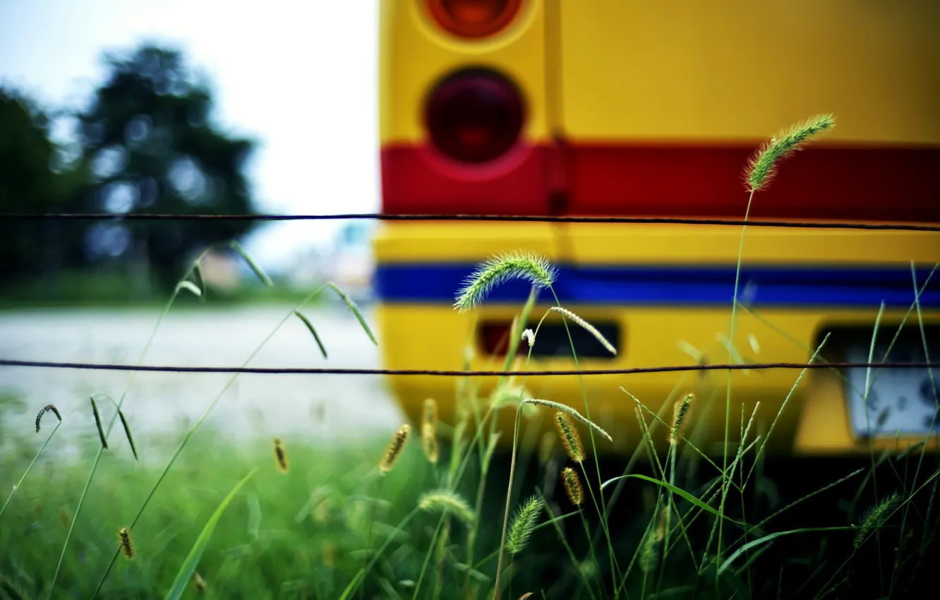Photo wallpaper grass, color, bus