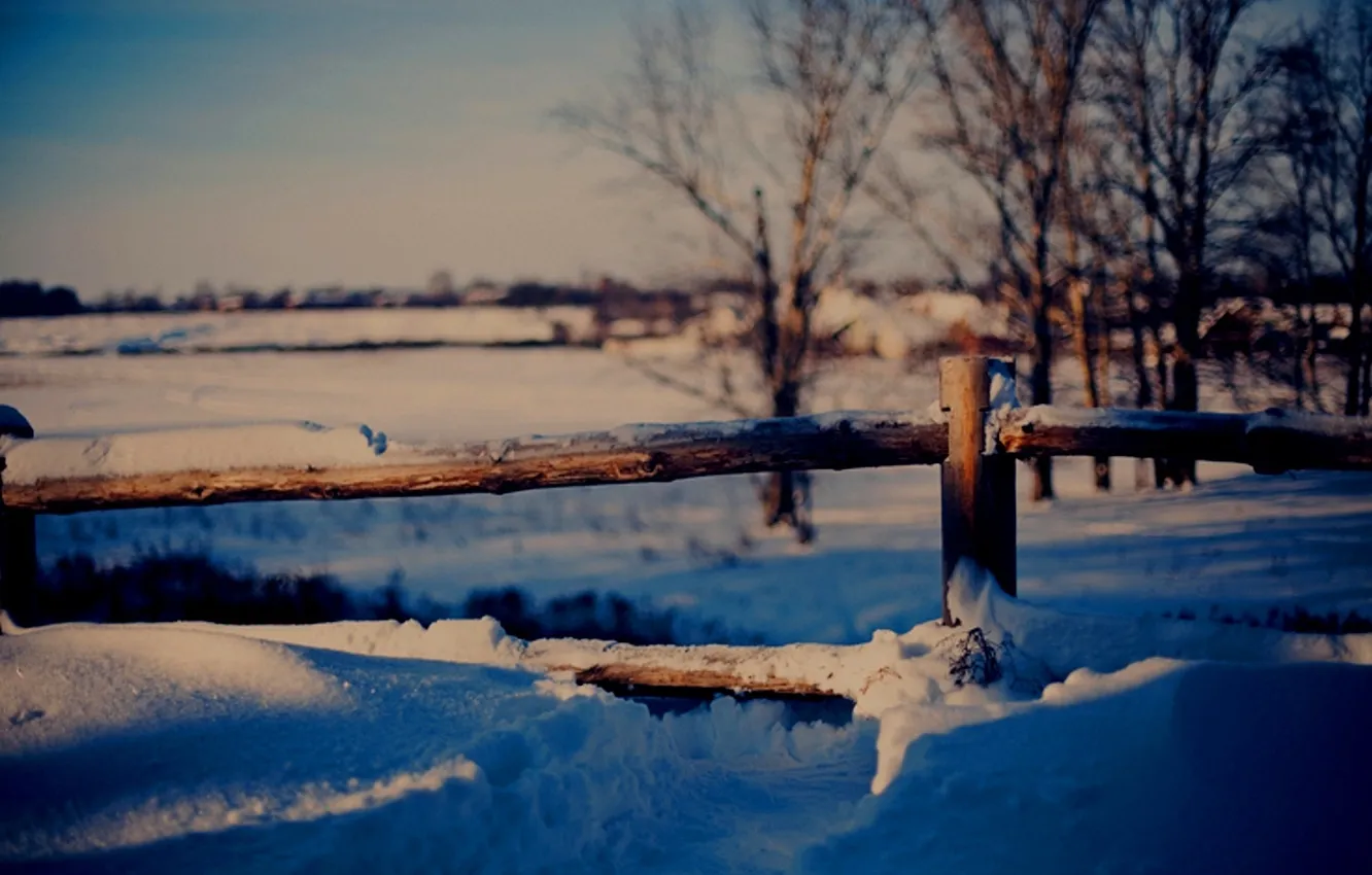 Photo wallpaper winter, snow, trees, nature, the fence, frost, the snow