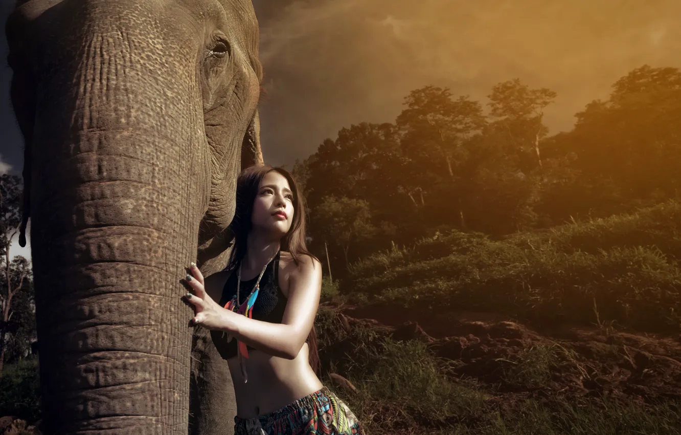 Photo wallpaper girl, light, elephant