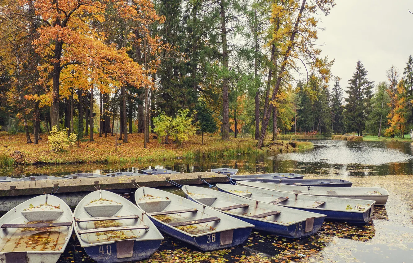 Photo wallpaper autumn, forest, trees, nature, lake, pond, shore, foliage