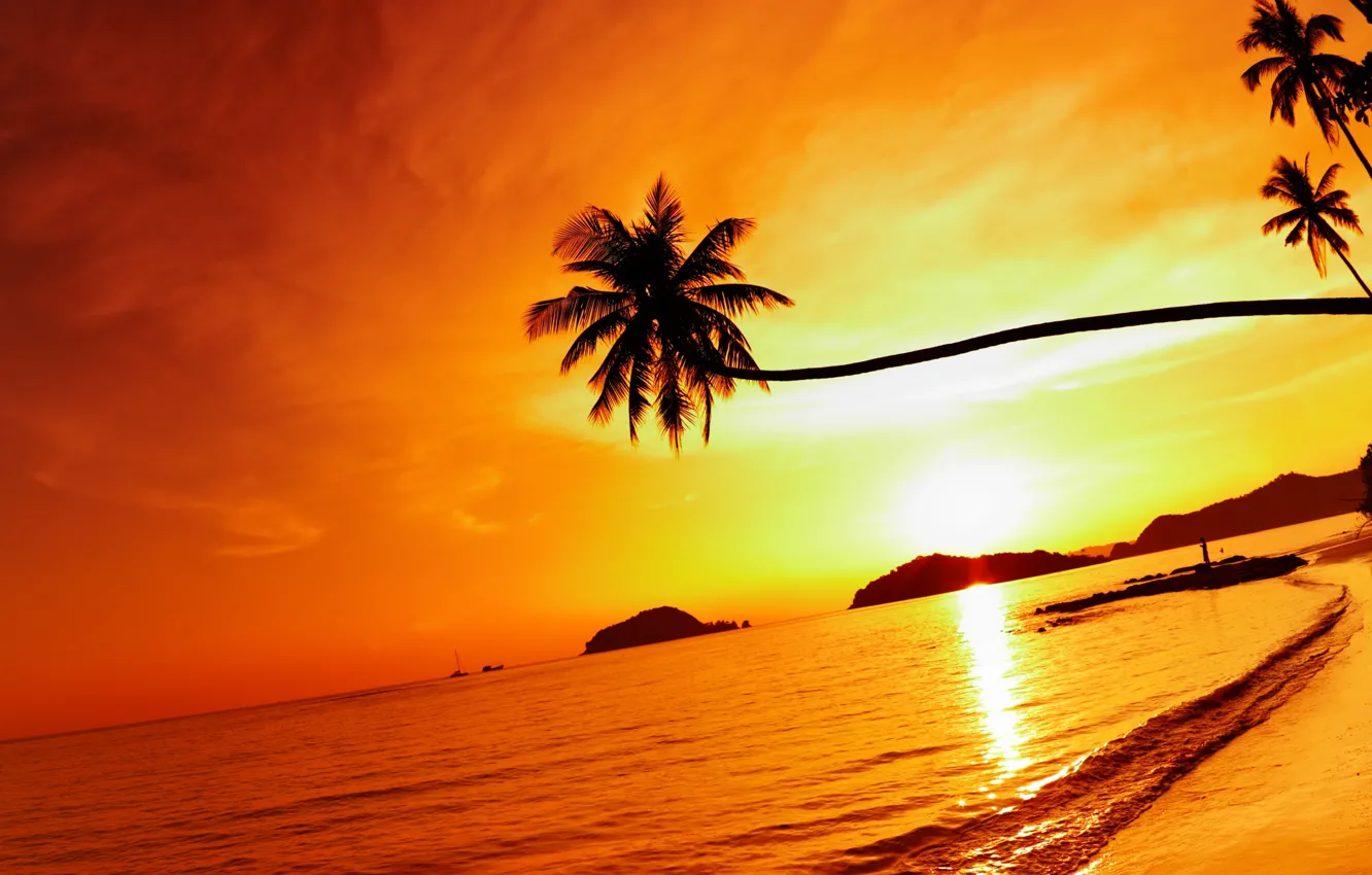 Photo wallpaper sea, beach, the sky, the sun, clouds, landscape, nature, palm trees