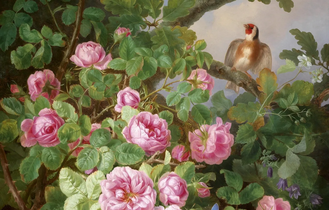 Photo wallpaper flowers, bird, pink roses, goldfinch