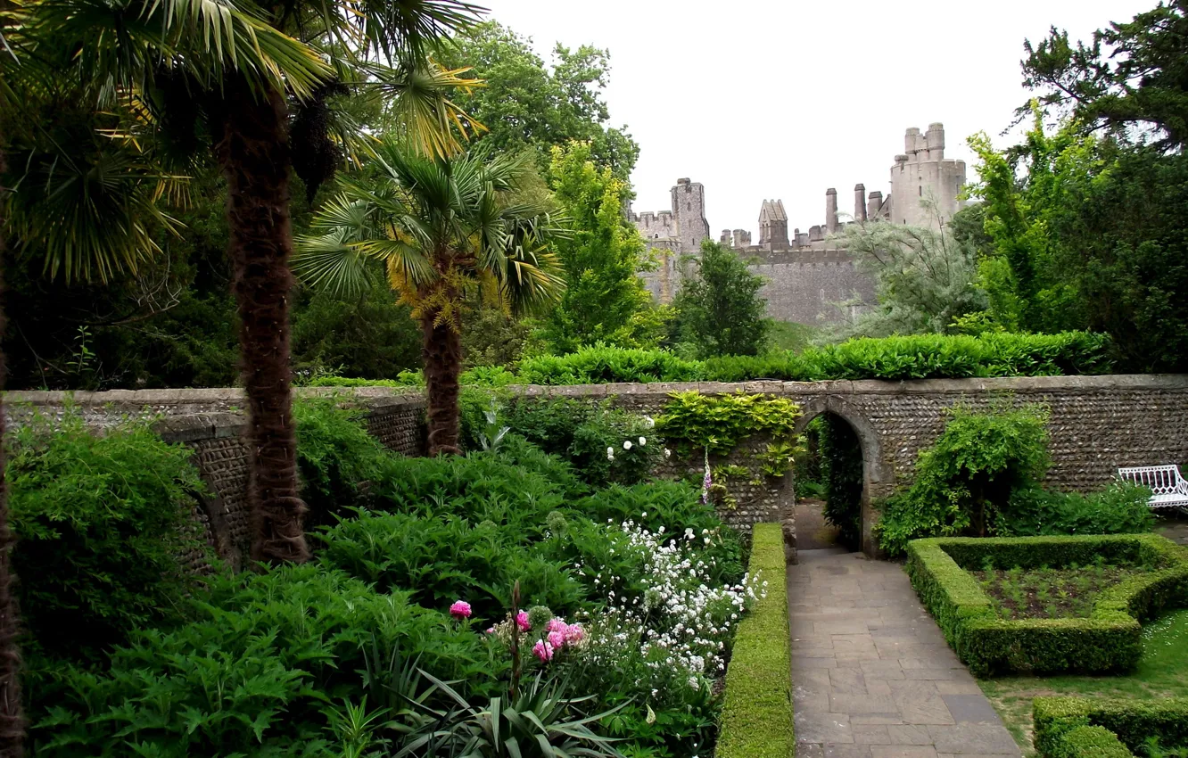 Photo wallpaper trees, flowers, Park, palm trees, castle, wall, stone, Arundel Castle Rose Gardens UK