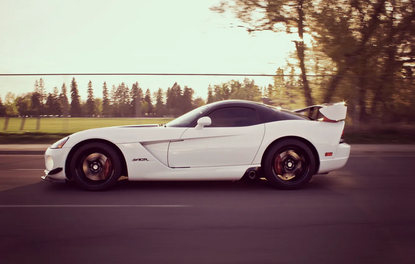 Photo wallpaper road, speed, Dodge, Viper, Dodge, Viper, SRT 10