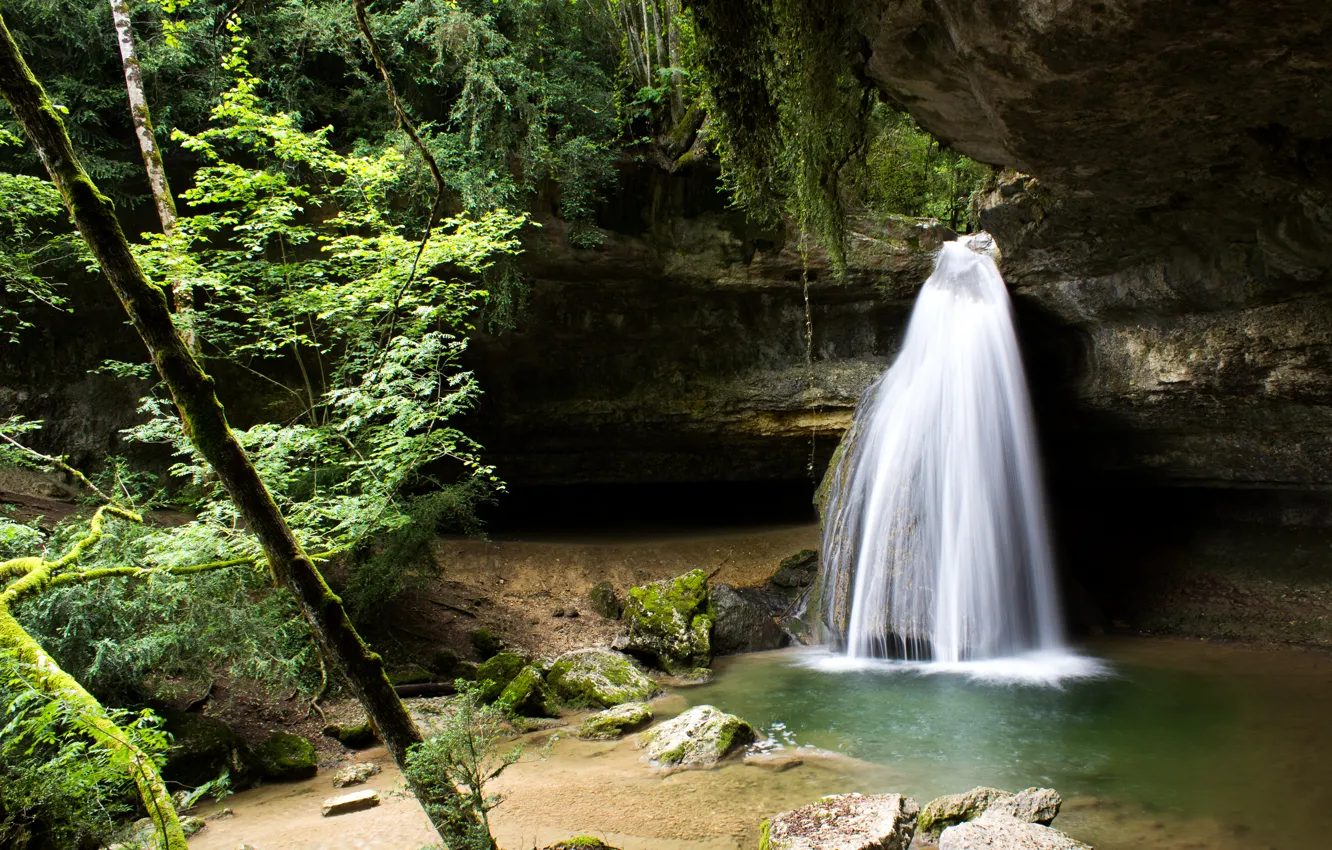 Photo wallpaper forest, trees, rocks, waterfall, stream
